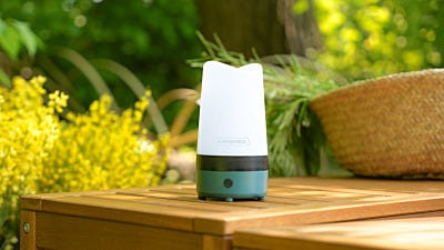 protect your home from insects