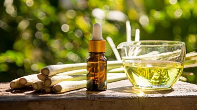 scent repellent for insects 