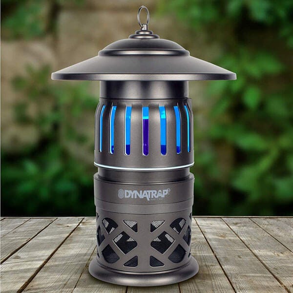 Dynatrap sales bug light