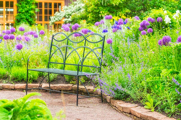 A green metal bench in the middle of a garden with purple flowers A green metal bench in the middle of a garden with purple flowers