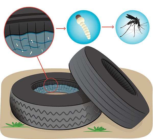 Mosquito prevention online