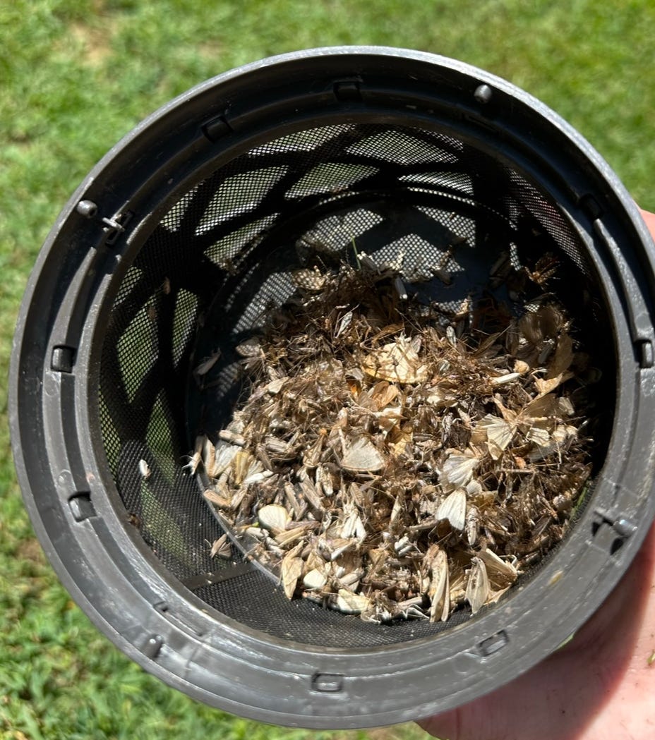 A real photo of  Dynatrap® 1/4 Acre Decora Series Mosquito & Insect Trap - Tungsten by RonB (1)