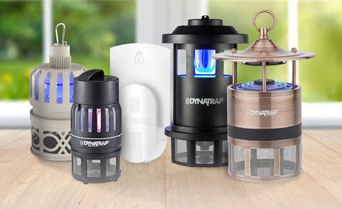 DynaTrap: Stop Zapping, Start Trapping