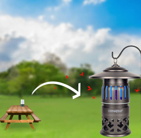 DynaTrap 1 Acre Decora Series Mosquito & Insect Trap - Tungsten