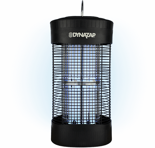 DynaZap