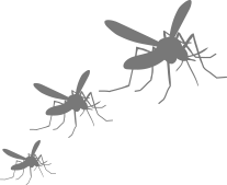 mosquitoes