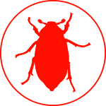 June Beetles