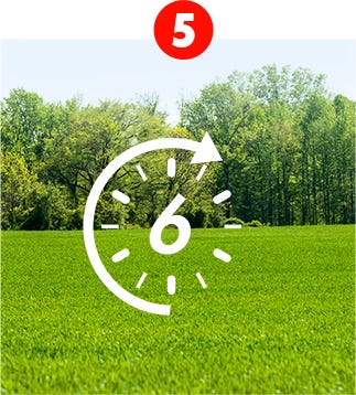 step-5