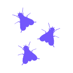 Fruit flies