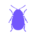June Beetle