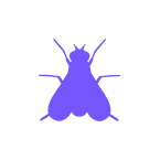 black flies