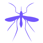 mosquitoes