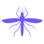 sand Flies