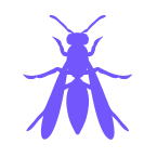 Yellow Jacket