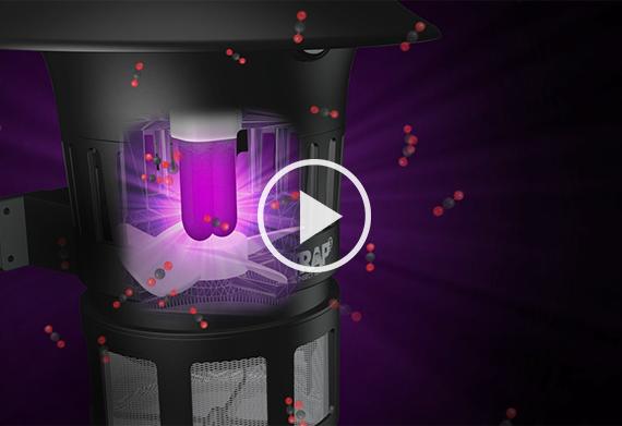 How it Works Video