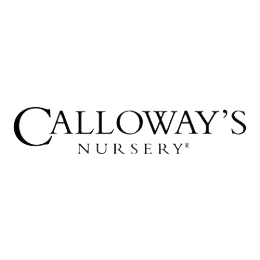 Calloway's