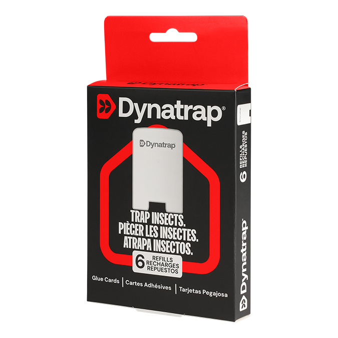 Dynatrap® Refill Glue Cards for Indoor Fly Trap 