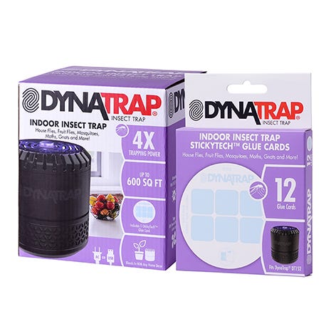 Dynatrap 4-Way Protection Indoor Fly and Insect Trap Refill Glue