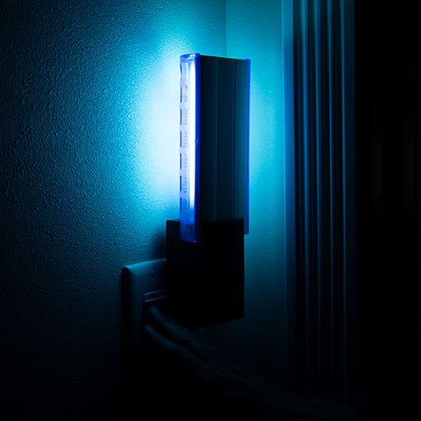 Light Attracts Insects