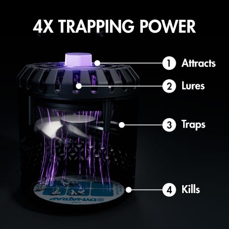 DynaTrap DT152 Indoor Insect Trap … curated on LTK