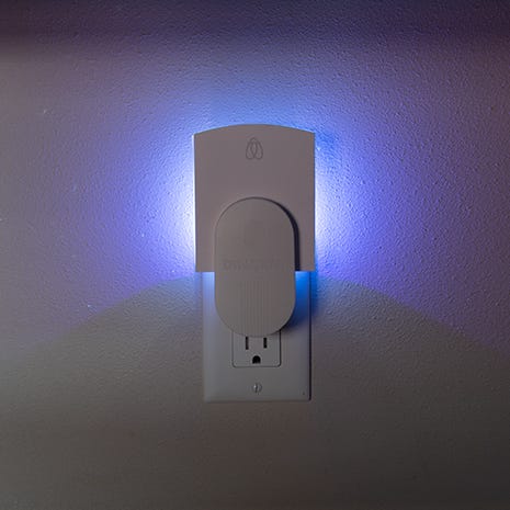 Light Attracts Insects